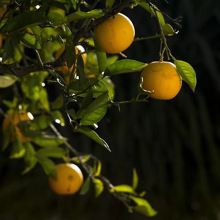 Casa Rural La Escalerilla テロル エクステリア 写真