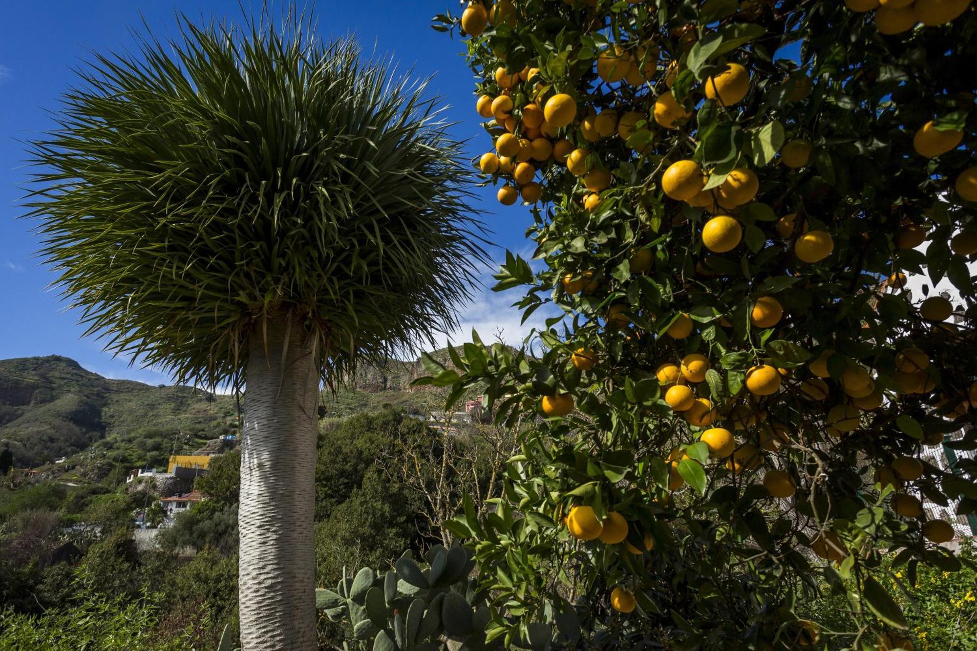 Casa Rural La Escalerilla テロル エクステリア 写真