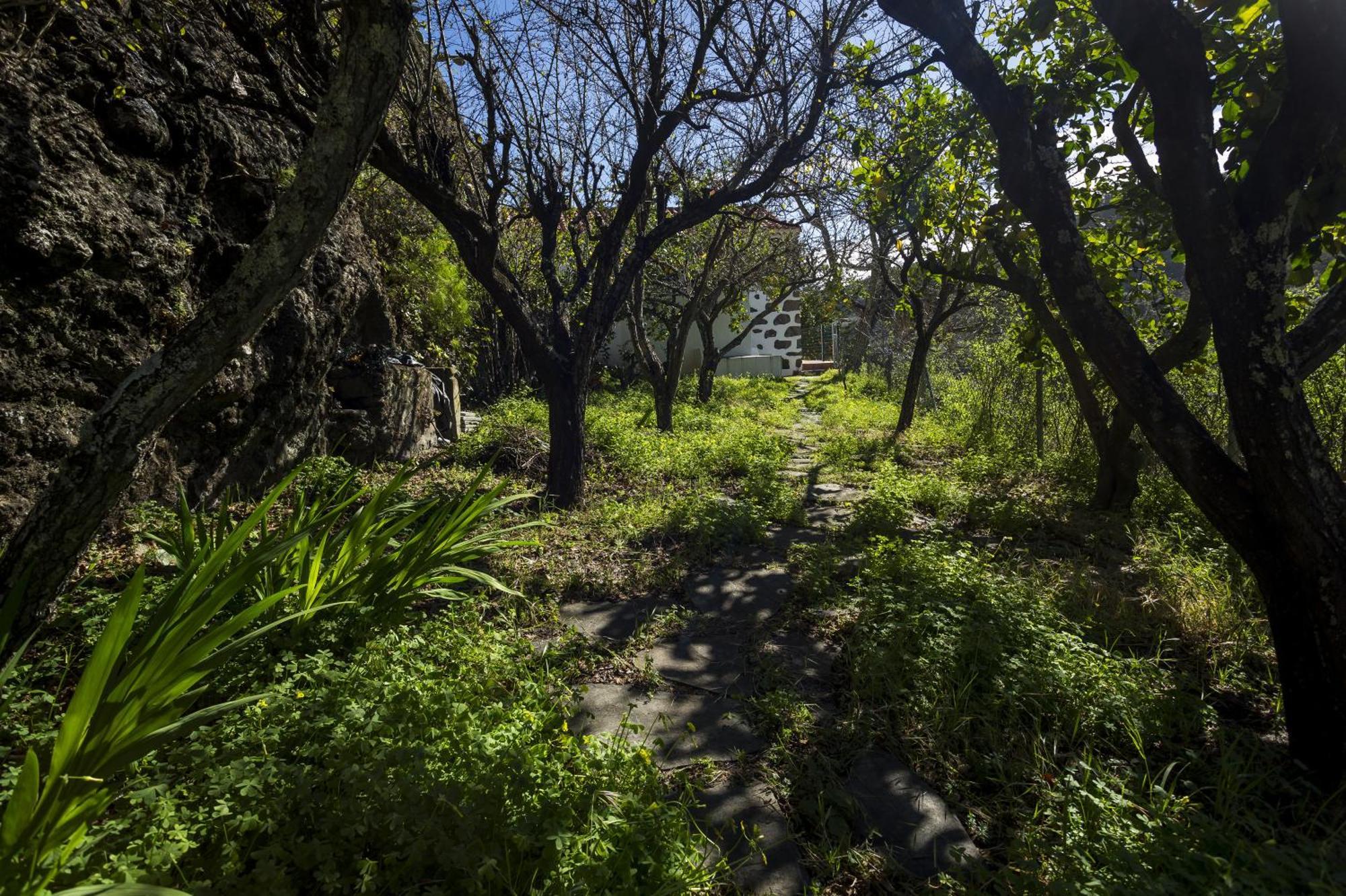 Casa Rural La Escalerilla テロル エクステリア 写真